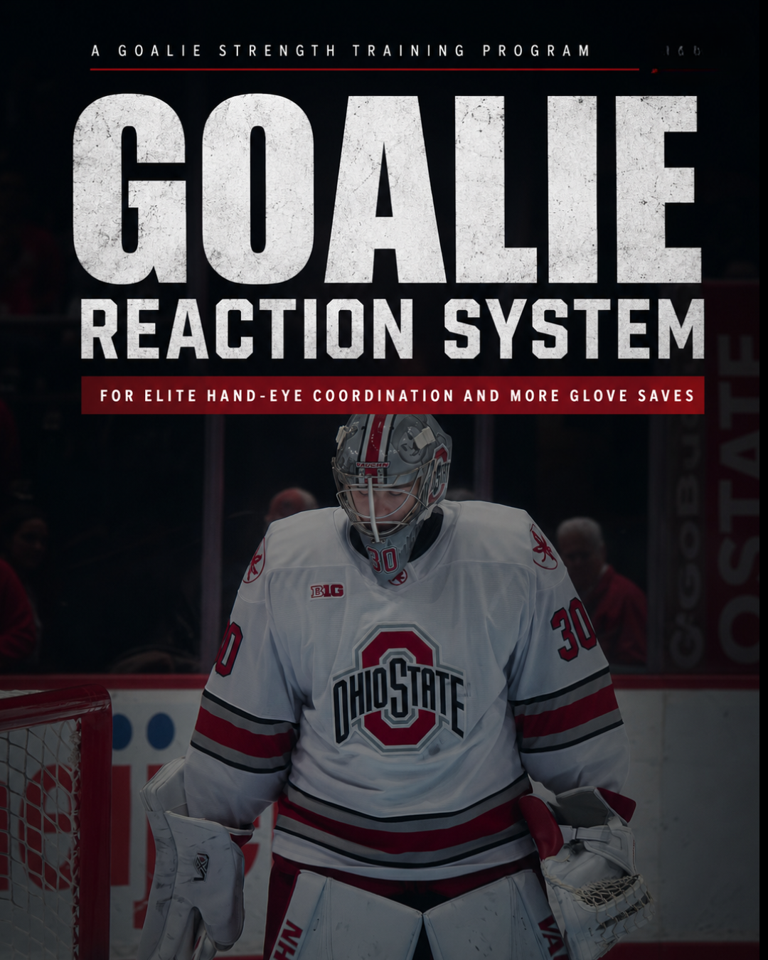 Goalie Reaction Program
